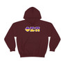 Phi Sigma Pi Two Toned Greek Lettered Hooded Sweatshirts