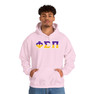 Phi Sigma Pi Two Toned Greek Lettered Hooded Sweatshirts