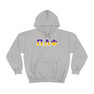 Pi Lambda Phi Two Toned Greek Lettered Hooded Sweatshirts