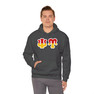 Psi Upsilon Two Toned Greek Lettered Hooded Sweatshirts
