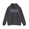 Sigma Alpha Mu Two Toned Greek Lettered Hooded Sweatshirts