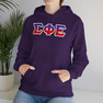 Sigma Phi Epsilon Two Toned Greek Lettered Hooded Sweatshirts