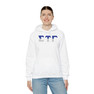 Sigma Tau Gamma Two Toned Greek Lettered Hooded Sweatshirts