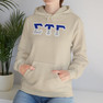 Sigma Tau Gamma Two Toned Greek Lettered Hooded Sweatshirts