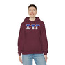 Sigma Tau Gamma Two Toned Greek Lettered Hooded Sweatshirts