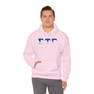 Sigma Tau Gamma Two Toned Greek Lettered Hooded Sweatshirts