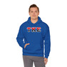 Tau Kappa Epsilon Two Toned Greek Lettered Hooded Sweatshirts