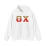 Theta Chi Two Toned Greek Lettered Hooded Sweatshirts