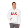 Theta Chi Two Toned Greek Lettered Hooded Sweatshirts