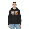 Theta Chi Two Toned Greek Lettered Hooded Sweatshirts
