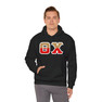 Theta Chi Two Toned Greek Lettered Hooded Sweatshirts