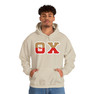 Theta Chi Two Toned Greek Lettered Hooded Sweatshirts