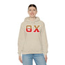 Theta Chi Two Toned Greek Lettered Hooded Sweatshirts