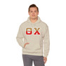 Theta Chi Two Toned Greek Lettered Hooded Sweatshirts