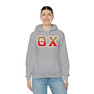 Theta Chi Two Toned Greek Lettered Hooded Sweatshirts