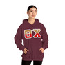 Theta Chi Two Toned Greek Lettered Hooded Sweatshirts
