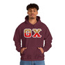 Theta Chi Two Toned Greek Lettered Hooded Sweatshirts