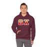 Theta Chi Two Toned Greek Lettered Hooded Sweatshirts