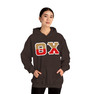 Theta Chi Two Toned Greek Lettered Hooded Sweatshirts