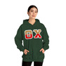 Theta Chi Two Toned Greek Lettered Hooded Sweatshirts