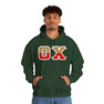 Theta Chi Two Toned Greek Lettered Hooded Sweatshirts