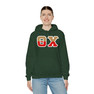 Theta Chi Two Toned Greek Lettered Hooded Sweatshirts