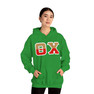 Theta Chi Two Toned Greek Lettered Hooded Sweatshirts
