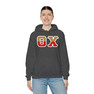 Theta Chi Two Toned Greek Lettered Hooded Sweatshirts