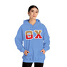 Theta Chi Two Toned Greek Lettered Hooded Sweatshirts