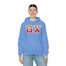 Theta Chi Two Toned Greek Lettered Hooded Sweatshirts