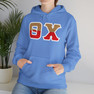 Theta Chi Two Toned Greek Lettered Hooded Sweatshirts