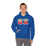 Theta Chi Two Toned Greek Lettered Hooded Sweatshirts