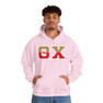 Theta Chi Two Toned Greek Lettered Hooded Sweatshirts