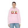 Theta Chi Two Toned Greek Lettered Hooded Sweatshirts
