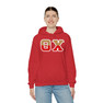 Theta Chi Two Toned Greek Lettered Hooded Sweatshirts