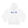 Theta Delta Chi Two Toned Greek Lettered Hooded Sweatshirts