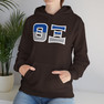 Theta Xi Two Toned Greek Lettered Hooded Sweatshirts