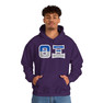 Theta Xi Two Toned Greek Lettered Hooded Sweatshirts