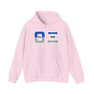 Theta Xi Two Toned Greek Lettered Hooded Sweatshirts