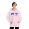 Theta Xi Two Toned Greek Lettered Hooded Sweatshirts
