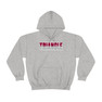 Triangle Two Toned Greek Lettered Hooded Sweatshirts