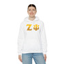 Zeta Psi Two Toned Greek Lettered Hooded Sweatshirts