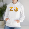 Zeta Psi Two Toned Greek Lettered Hooded Sweatshirts