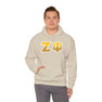 Zeta Psi Two Toned Greek Lettered Hooded Sweatshirts