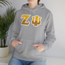 Zeta Psi Two Toned Greek Lettered Hooded Sweatshirts