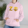 Zeta Psi Two Toned Greek Lettered Hooded Sweatshirts