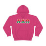 Alpha Chi Omega Two Tone Lettered Hooded Sweatshirts