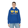 Sigma Nu Two Toned Greek Lettered Hooded Sweatshirts