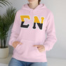 Sigma Nu Two Toned Greek Lettered Hooded Sweatshirts