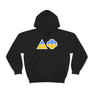 Delta Phi Two Toned Greek Lettered Hooded Sweatshirts